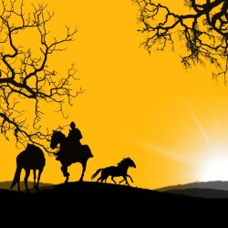 karaoke,Sunday Morning Coming Down,Johnny Cash,backing track,instrumental,playback,mp3,lyrics,sing along,singing,cover,karafun,karafun karaoke,Johnny Cash karaoke,karafun Johnny Cash,Sunday Morning Coming Down karaoke,karaoke Sunday Morning Coming Down,karaoke Johnny Cash Sunday Morning Coming Down,karaoke Sunday Morning Coming Down Johnny Cash,Johnny Cash Sunday Morning Coming Down karaoke,Sunday Morning Coming Down Johnny Cash karaoke,Sunday Morning Coming Down lyrics,Sunday Morning Coming Down cover,