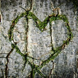 karaoke,When a Man Can't Get a Woman Off His Mind,Gene Watson,backing track,instrumental,playback,mp3,lyrics,sing along,singing,cover,karafun,karafun karaoke,Gene Watson karaoke,karafun Gene Watson,When a Man Can't Get a Woman Off His Mind karaoke,karaoke When a Man Can't Get a Woman Off His Mind,karaoke Gene Watson When a Man Can't Get a Woman Off His Mind,karaoke When a Man Can't Get a Woman Off His Mind Gene Watson,Gene Watson When a Man Can't Get a Woman Off His Mind karaoke,When a Man Can't Get a Woman Off His Mind Gene Watson karaoke,When a Man Can't Get a Woman Off His Mind lyrics,When a Man Can't Get a Woman Off His Mind cover,