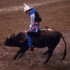 Rodeo