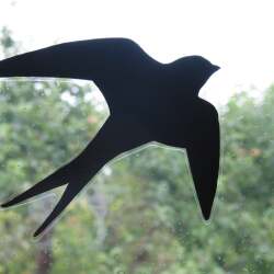 karaoke,Free Bird,Lynyrd Skynyrd,backing track,instrumental,playback,mp3,lyrics,sing along,singing,cover,karafun,karafun karaoke,Lynyrd Skynyrd karaoke,karafun Lynyrd Skynyrd,Free Bird karaoke,karaoke Free Bird,karaoke Lynyrd Skynyrd Free Bird,karaoke Free Bird Lynyrd Skynyrd,Lynyrd Skynyrd Free Bird karaoke,Free Bird Lynyrd Skynyrd karaoke,Free Bird lyrics,Free Bird cover,