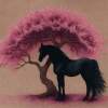 Black Horse And The Cherry Tree