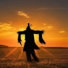 Rain on the Scarecrow