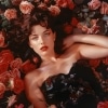 Bed of Roses