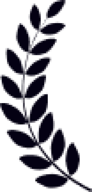 Download the KaraFun app for free!